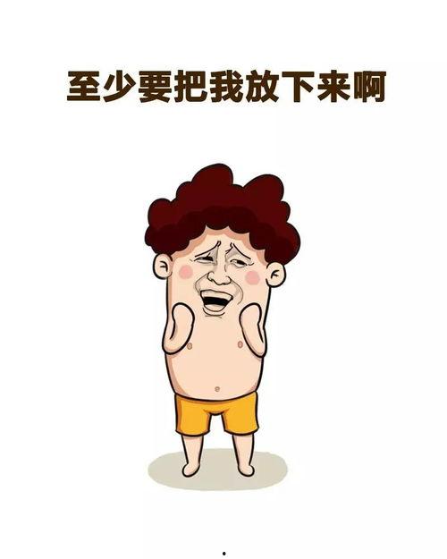 我爱背入,探索记忆与知识的奇妙旅程