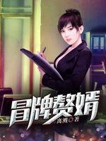 真假双龙(归龙)(冒牌赘婿),归龙与冒牌赘婿的传奇对决